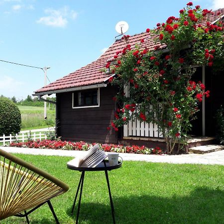 Wooden House Nela Near Plitvice Lakes สโมลยานัซ ภายนอก รูปภาพ