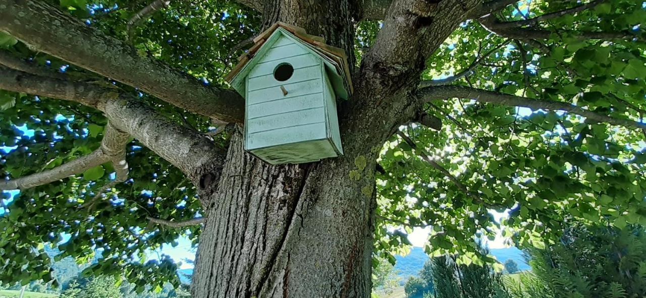 Wooden House Nela Near Plitvice Lakes สโมลยานัซ ภายนอก รูปภาพ